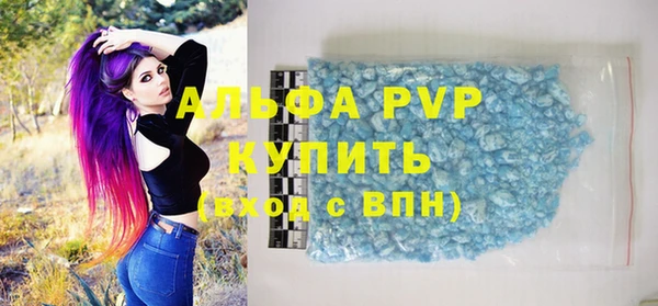 индика Бородино