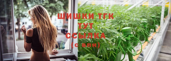гашик Волоколамск